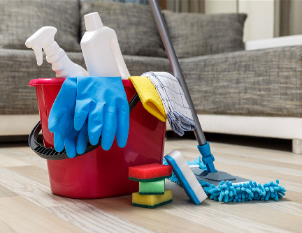 Dani Reinigung GmbH, Bankstrasse 8 in Hochdorf