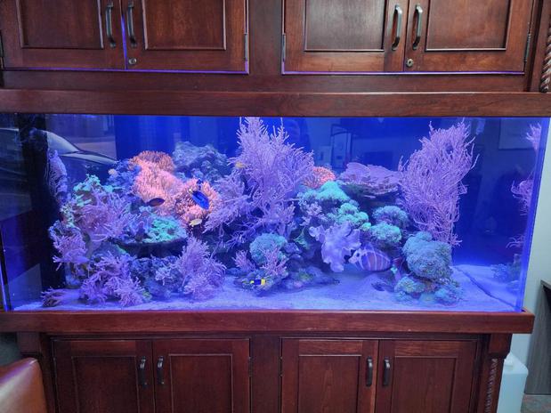 Images Kit Swenby - State Farm Insurance Agent