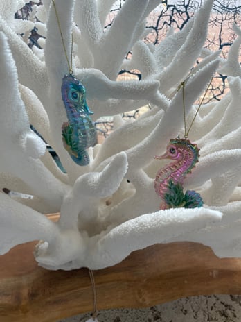 Images Ocean Gardens