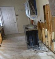 QCI Mold Removal and Testing mold remediation Tampa Bay.
