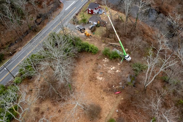 Images Justin Tree Services & Lawn Care