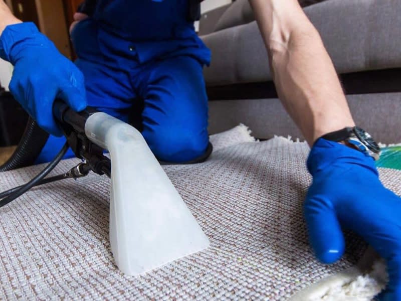 Images Carpet Cleaning Near Me
