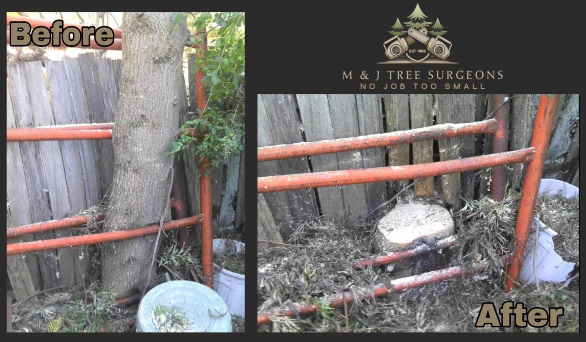 Images M & J Tree Surgeons