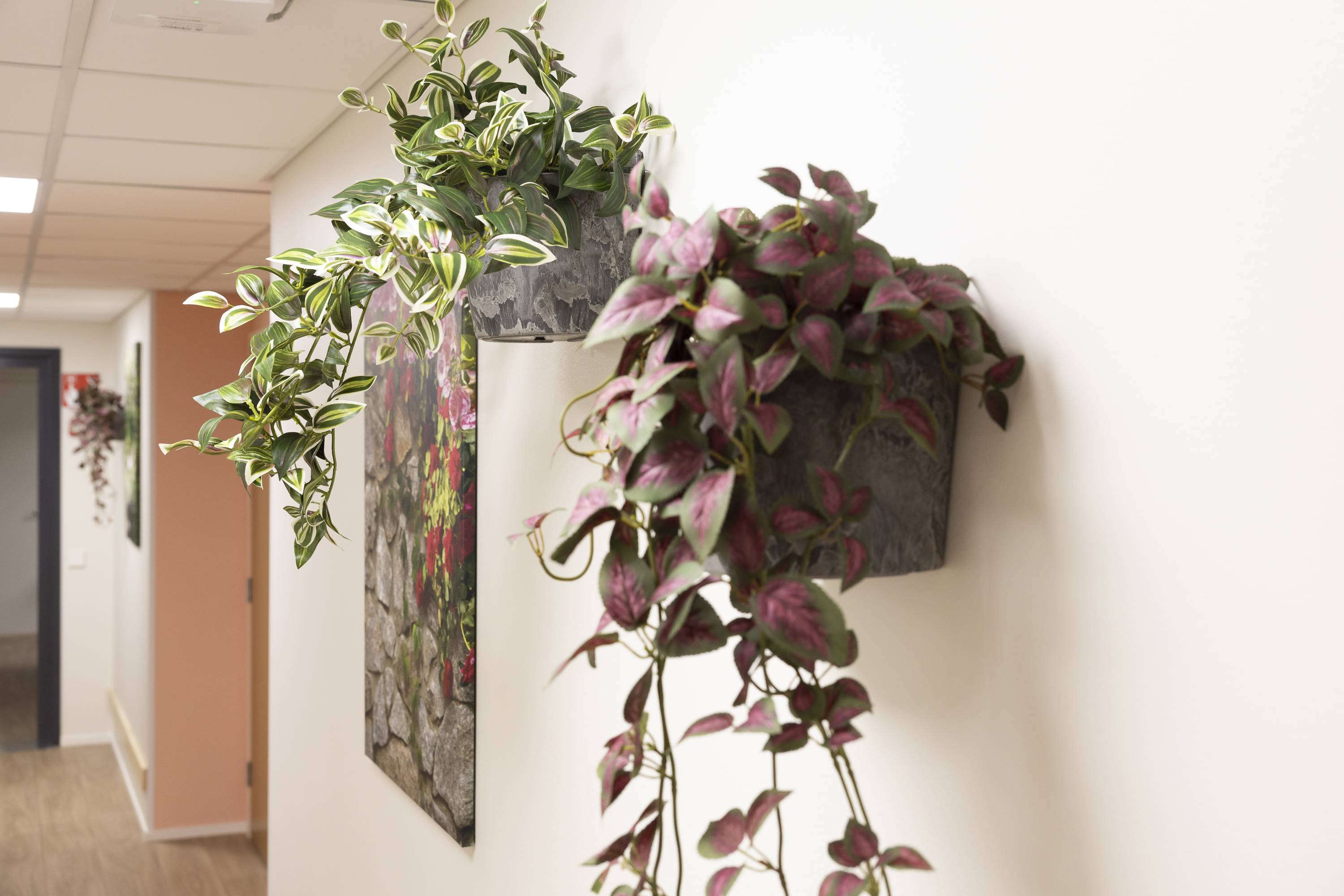 Images Solum Toukolakoti