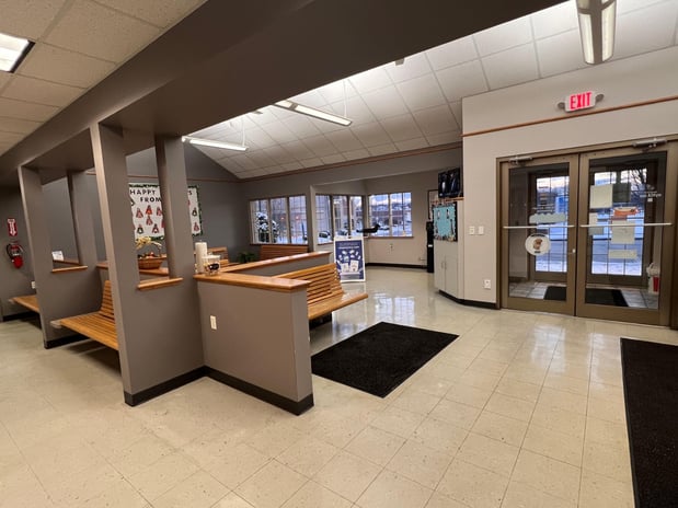 Images VCA Green Animal Hospital