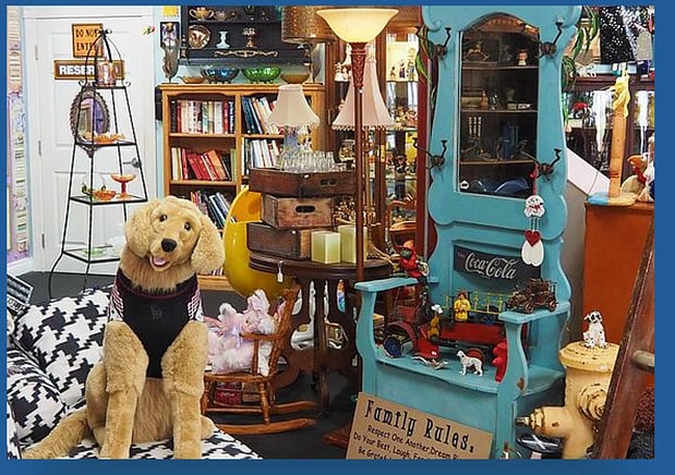Images Marcy's Attic