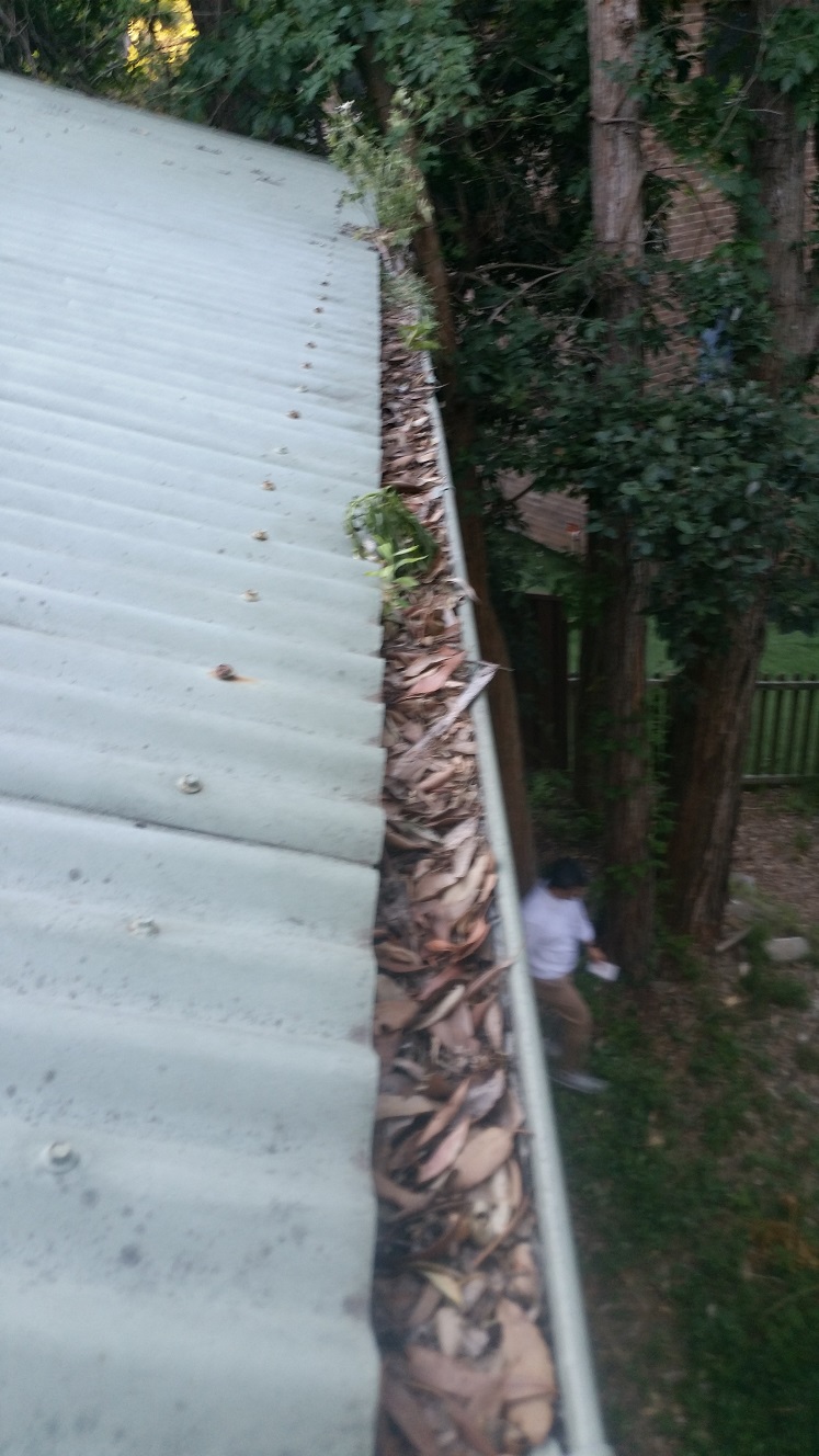 Images Pauls Gutter Cleaning
