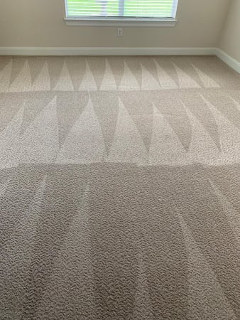 Images Fresh Carpet Clean Houston