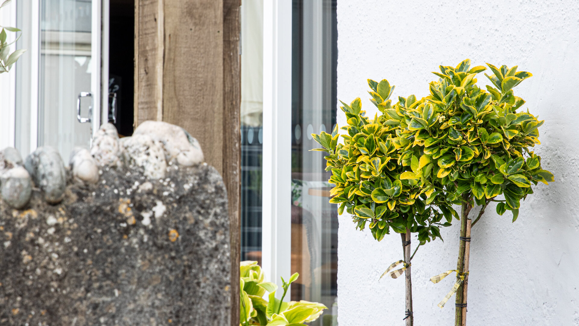 Images Inn On The Shore