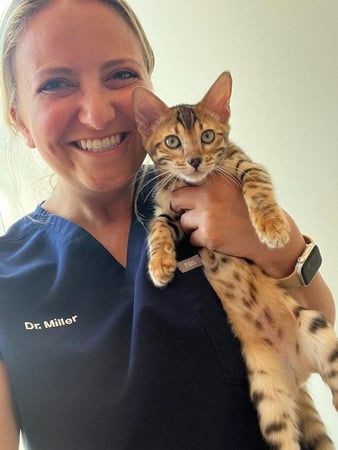 Images Petfolk Veterinary & Urgent Care - East Cobb Marietta
