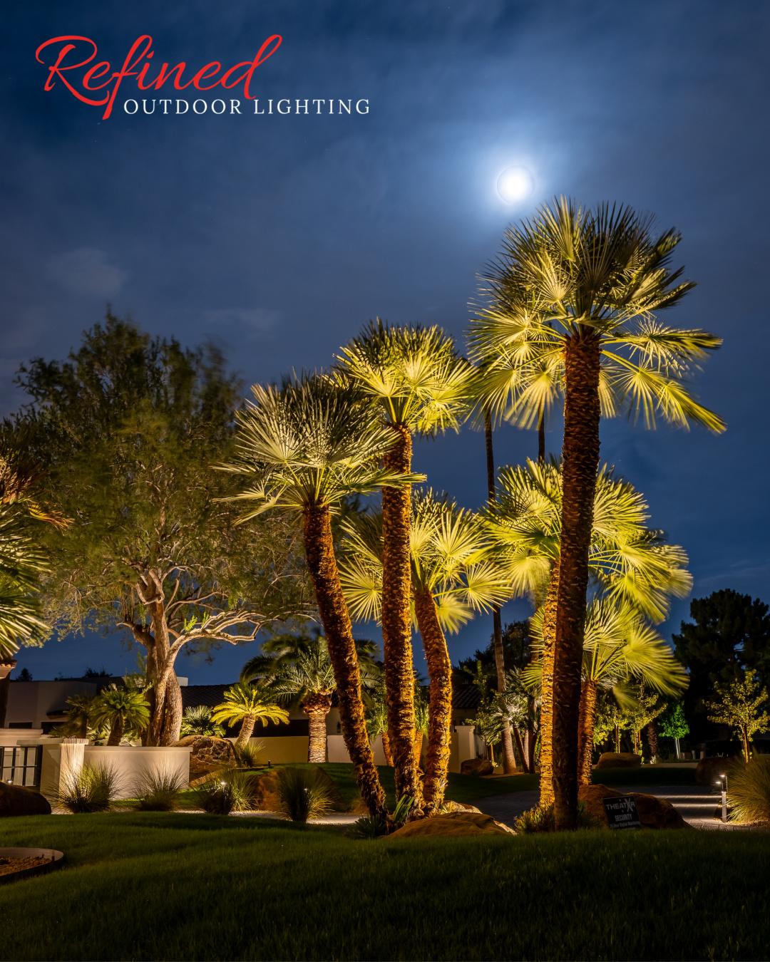 palm tree uplighting in Arizona