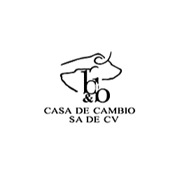 BYB Casa de Cambio Logo