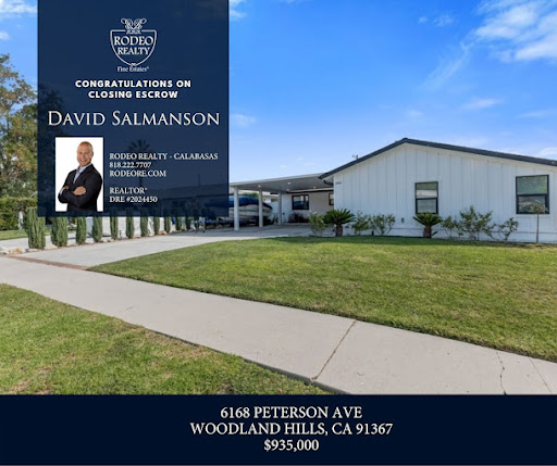 Images David Salmanson Realtor