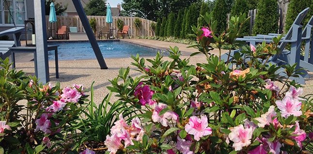Images Rich-Way Landscape, Inc.