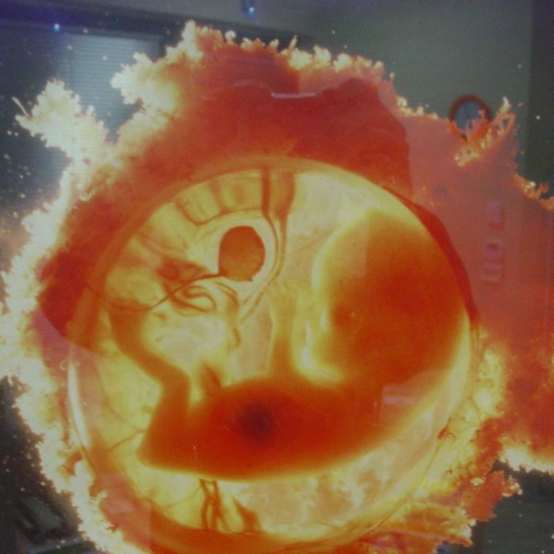 Images Colombo Dott.ssa Michela - Ginecologa