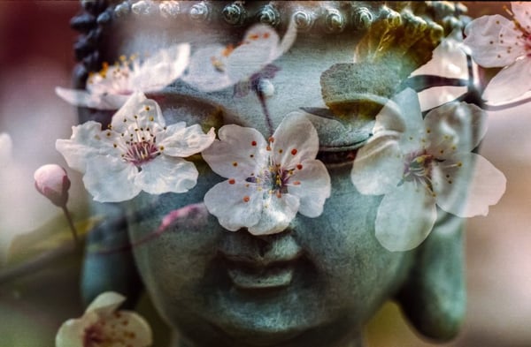 Bilder Annette Wolf Yoga & mehr