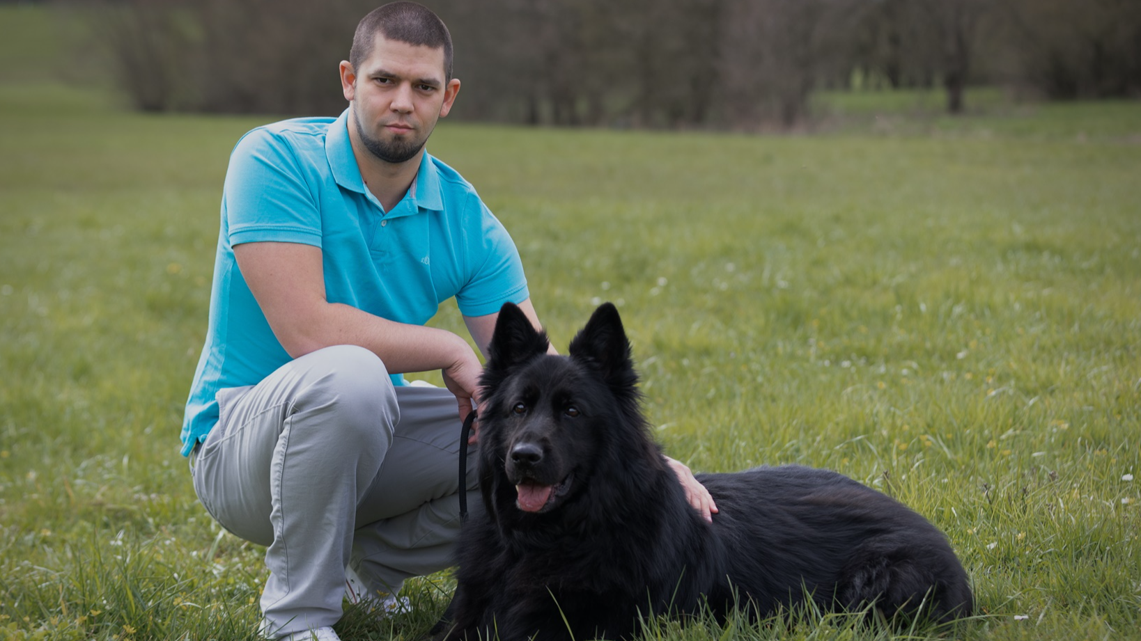 Tierphysiotherapie Leif Atkins - Mobile Physiotherapie für Pferde und Hunde in Ottweiler