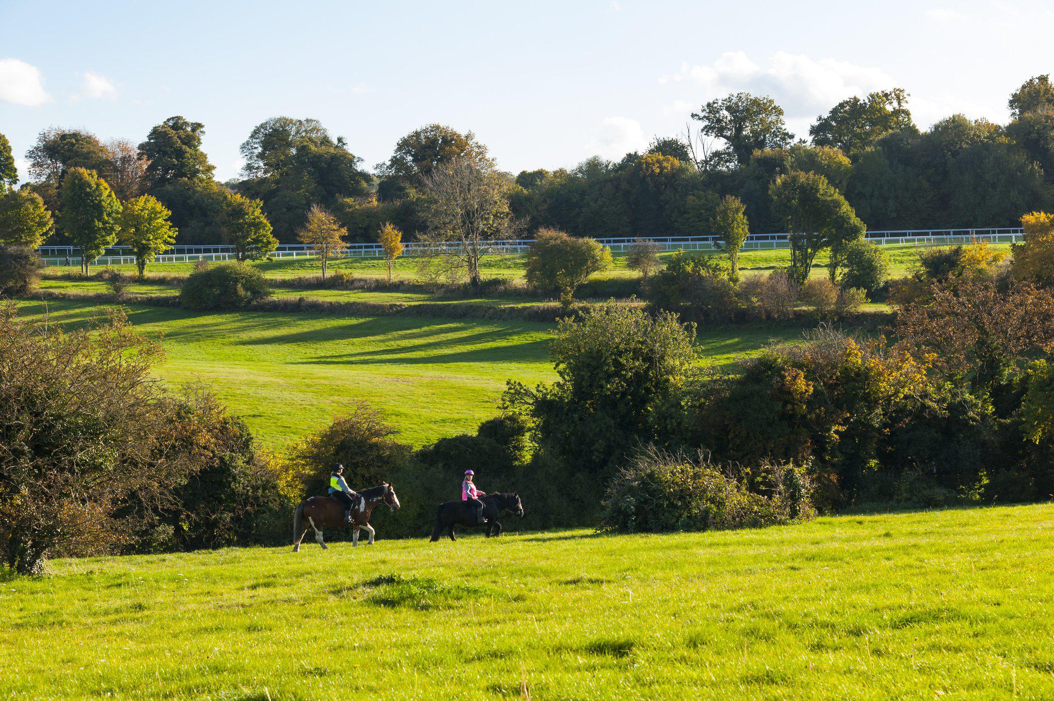 Images Holiday Inn Express London - Epsom Downs, an IHG Hotel