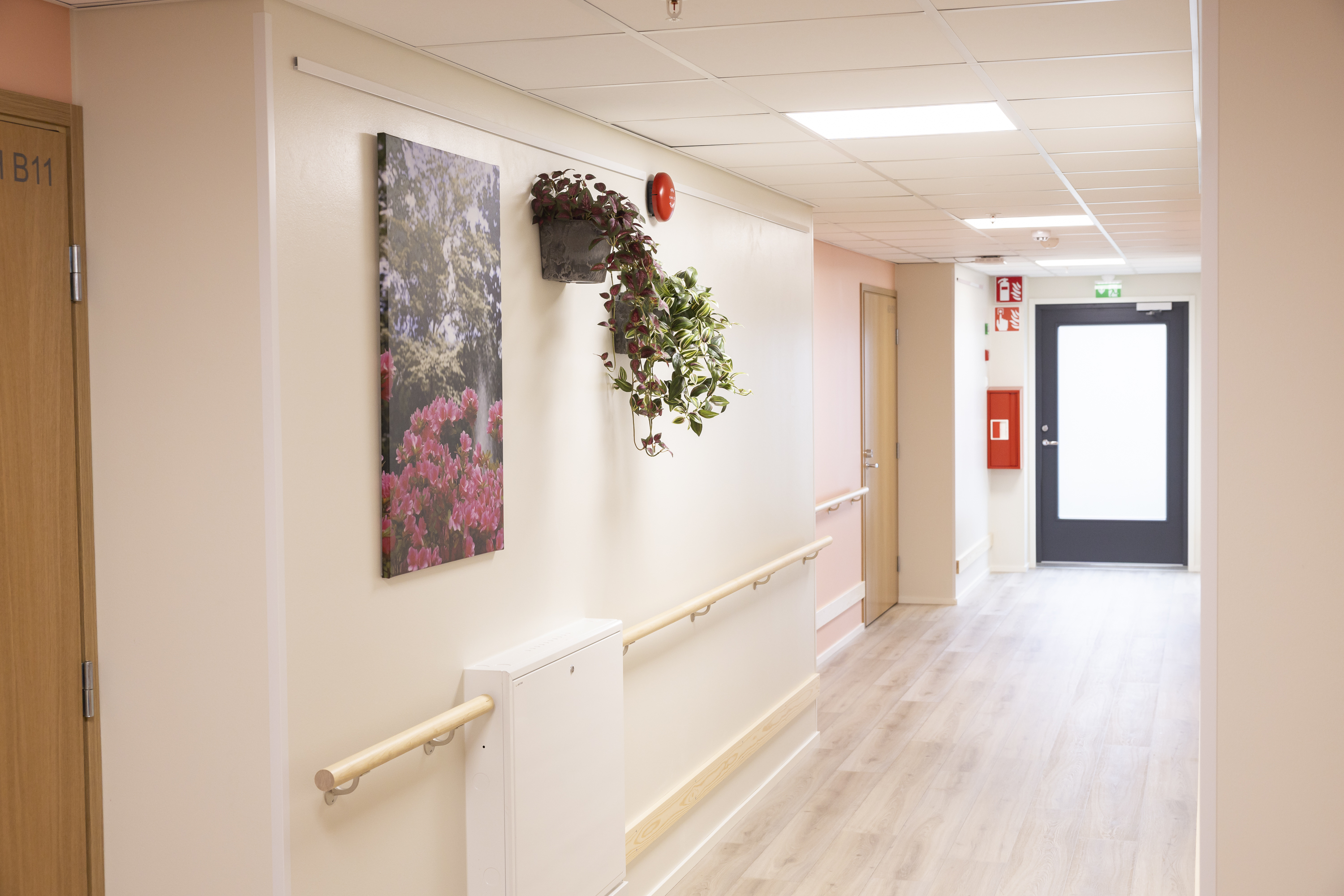 Images Solum Puistokoti