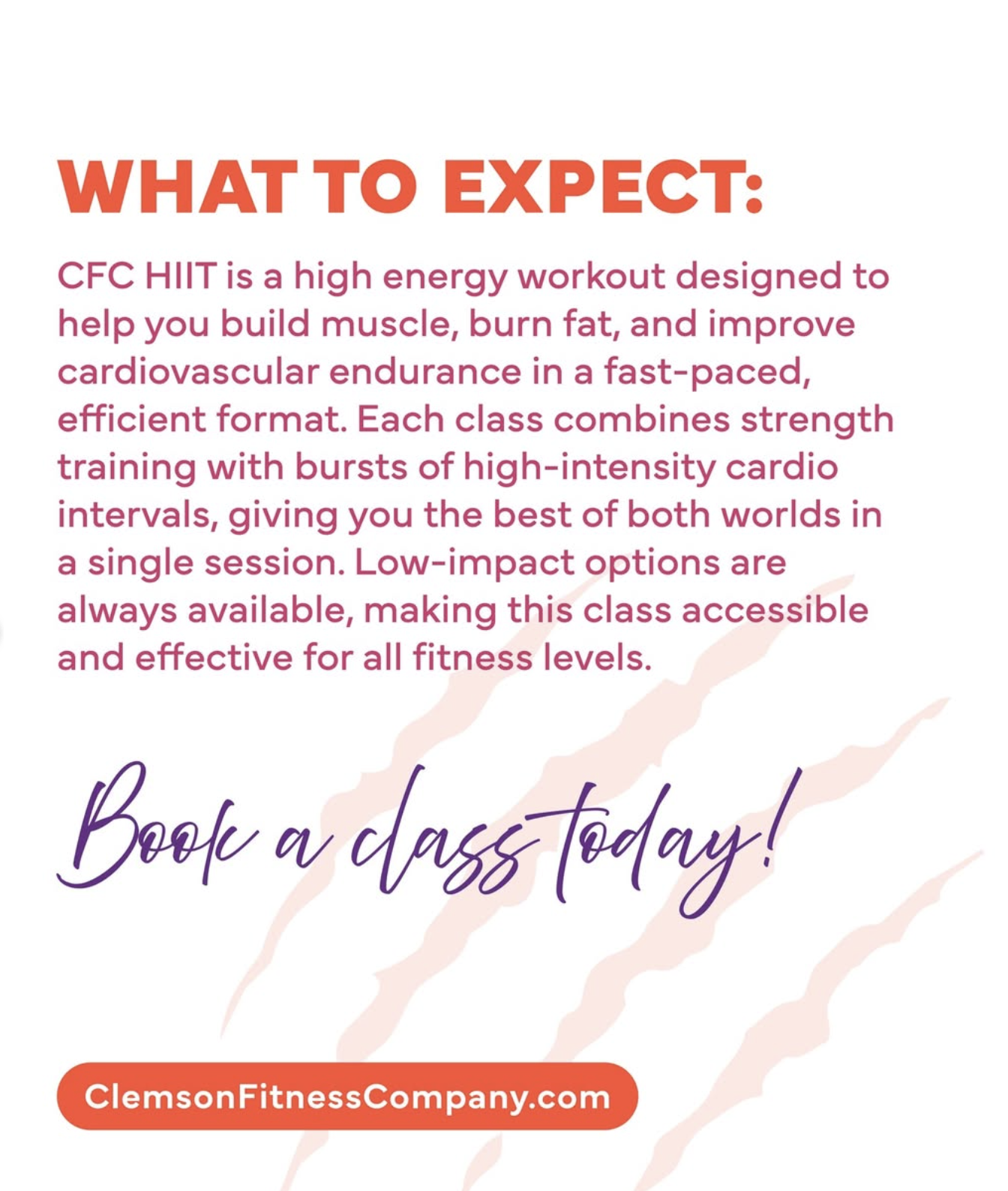 Clemson Fitness Company Image