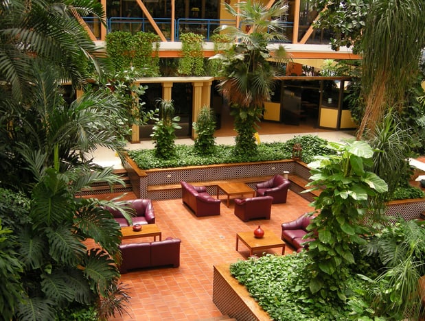 Images Mister Green Jeans Interior Office Plantings