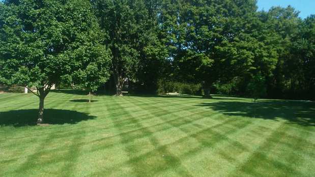 Images Wilkins Lawn & Landscape
