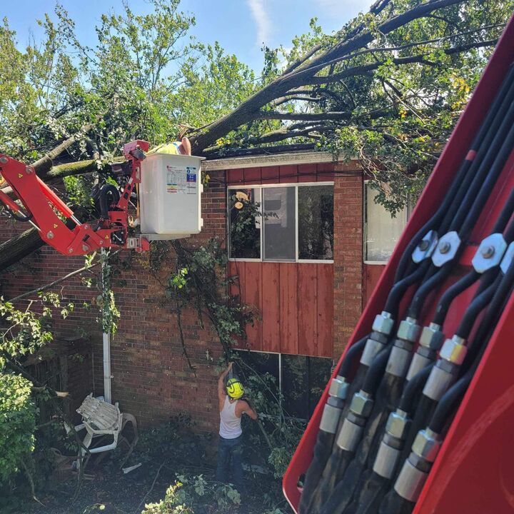 Images C & S Tree Service