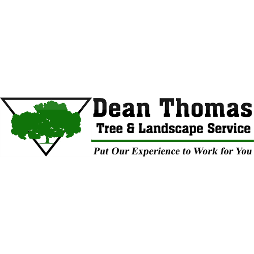 Dean Thomas Tree Service Logo