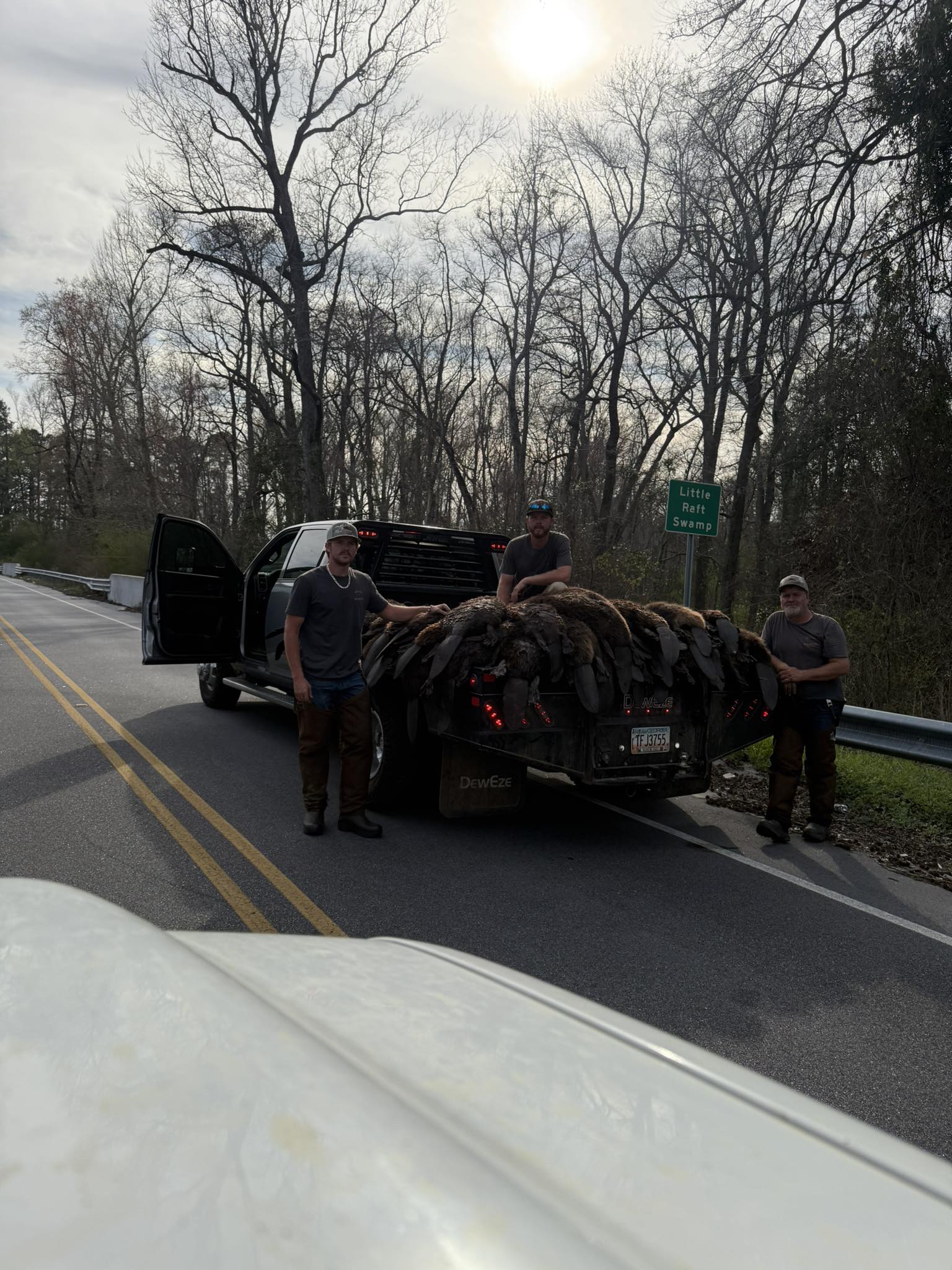 wildlife control services