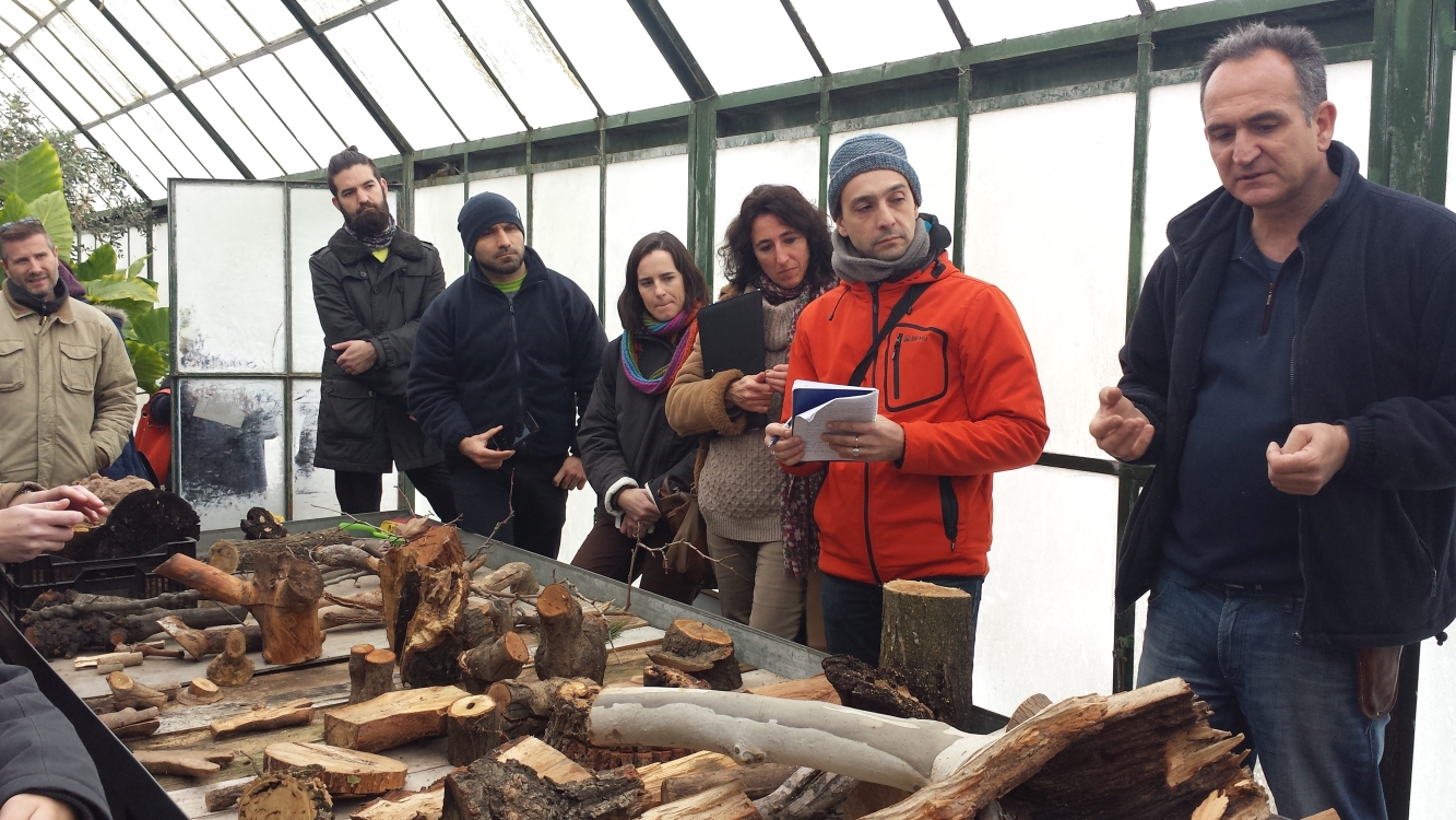 Images Sdl Investigacion Y Divulgacion Del Medio Ambiente S.L.