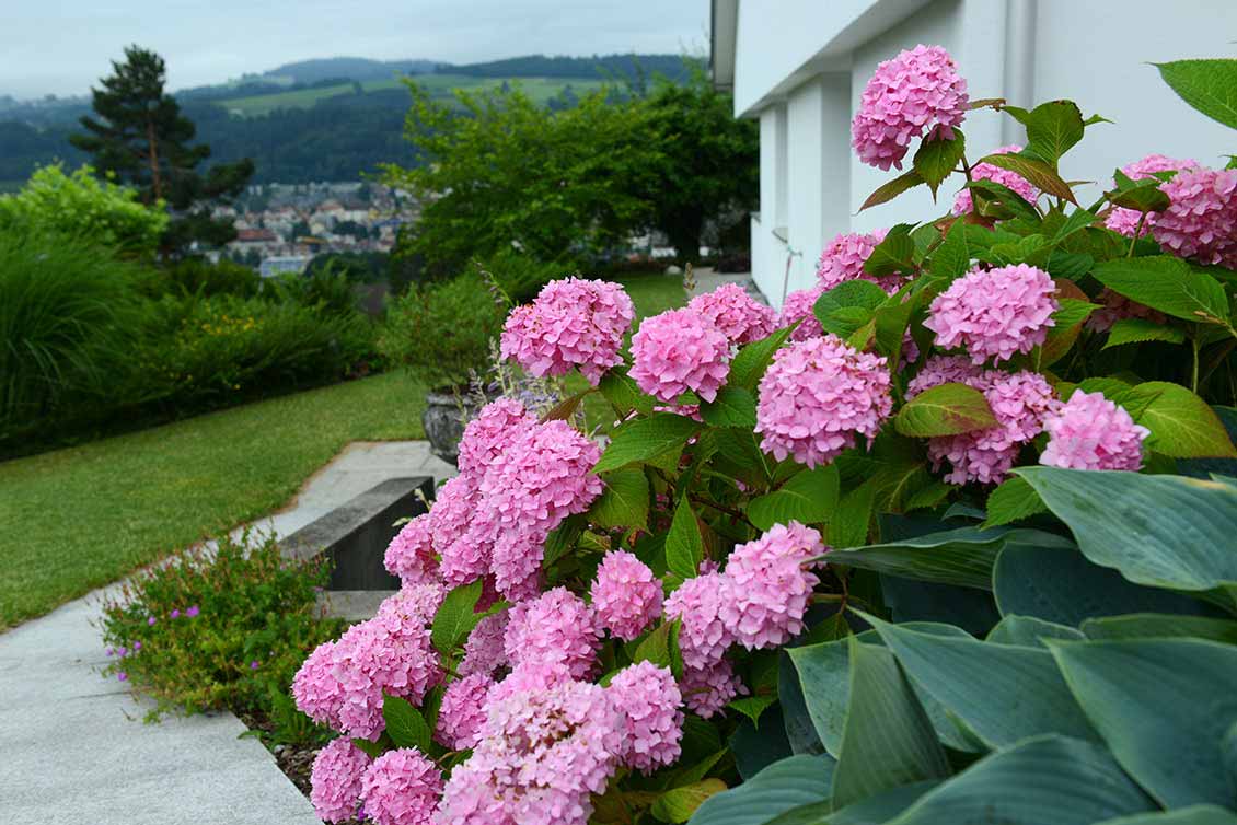 Bilder Gartengestaltung Andreas Jakob GmbH