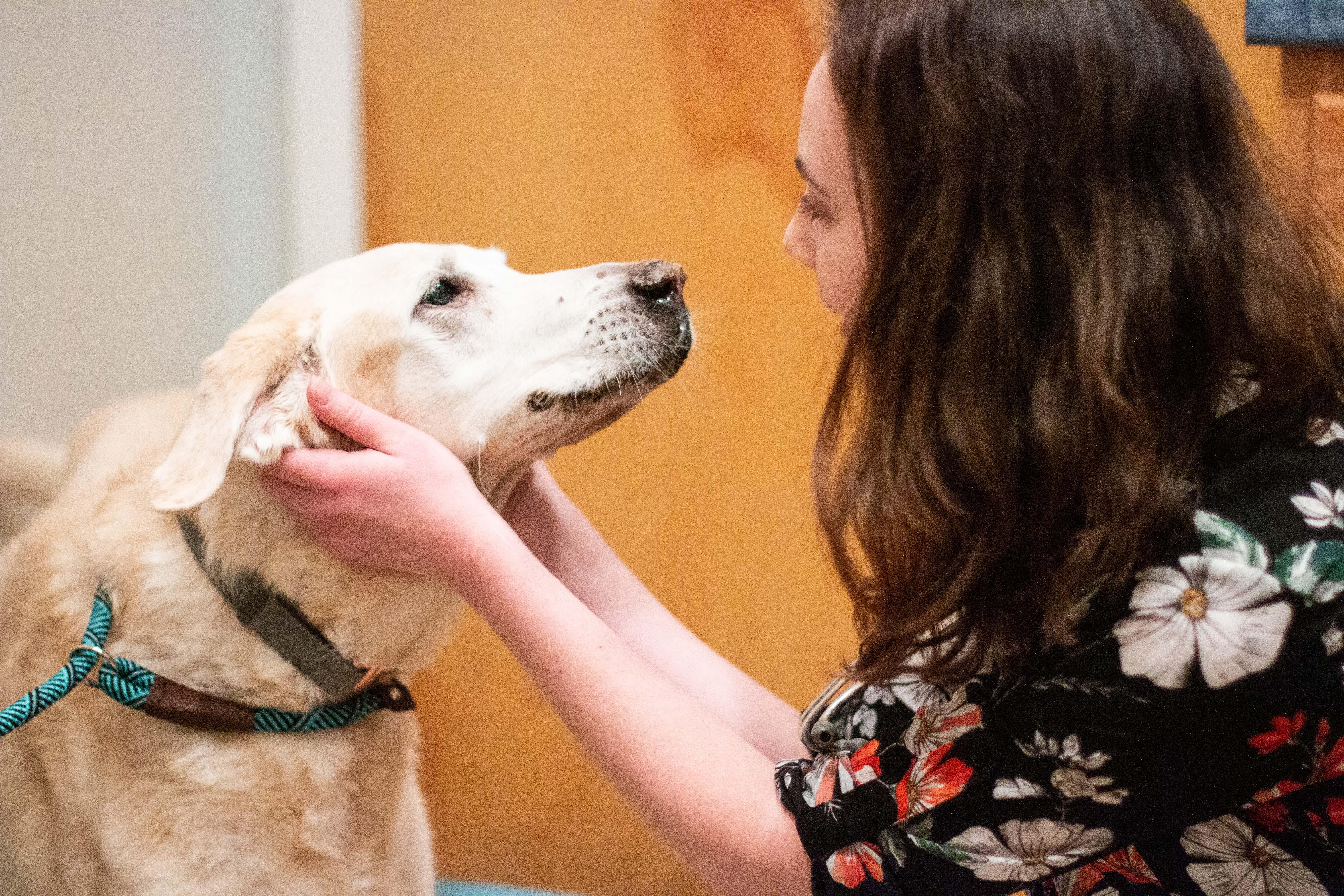 TotalBond Veterinary Hospital at Paw Creek Photo