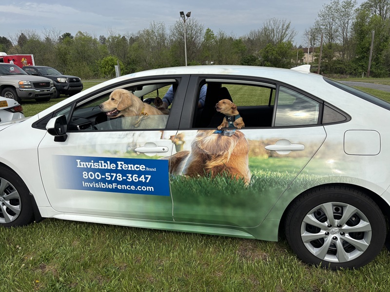 Dogs waiting for Invisible Fence® installation in Sullivan, PA