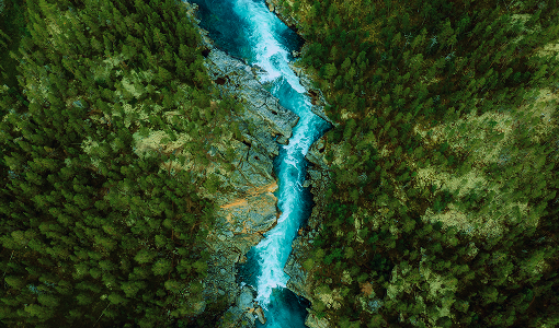 A river surrounded by trees and mountains, as seen from above.