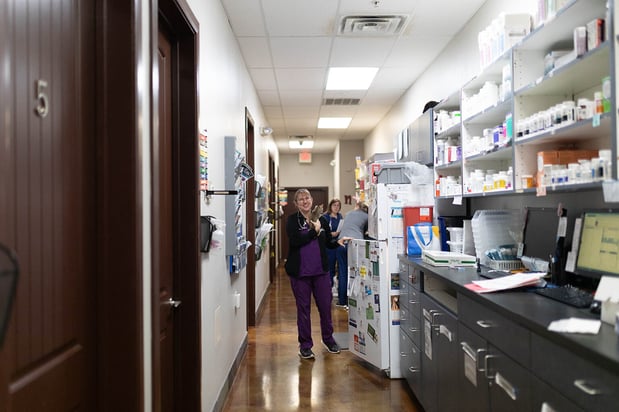 Images VCA Angel Animal Hospital