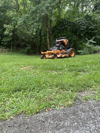 Images TNE Lawn & Trimming LLC