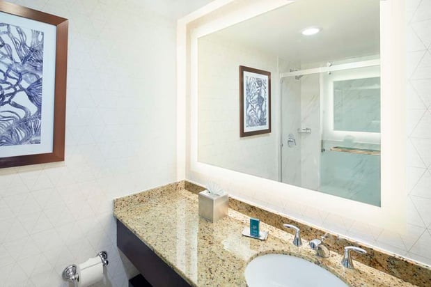 Images DoubleTree by Hilton Hotel Atlanta - Roswell