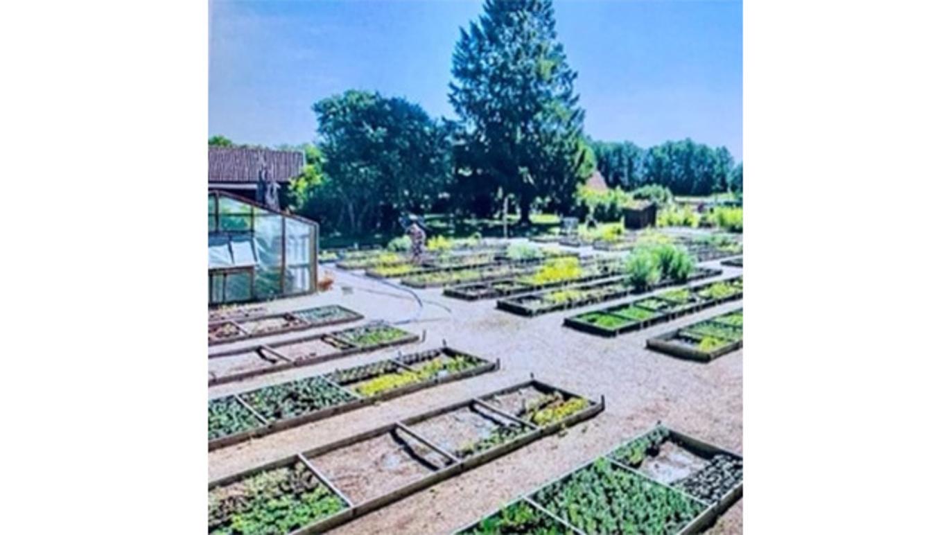 Images Botanicus Gårdsbutik AB - Handelsträdgård Östergötland