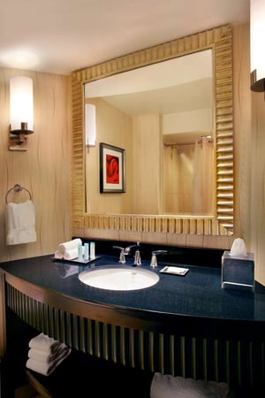 Images Hilton Rosemont/Chicago O'Hare