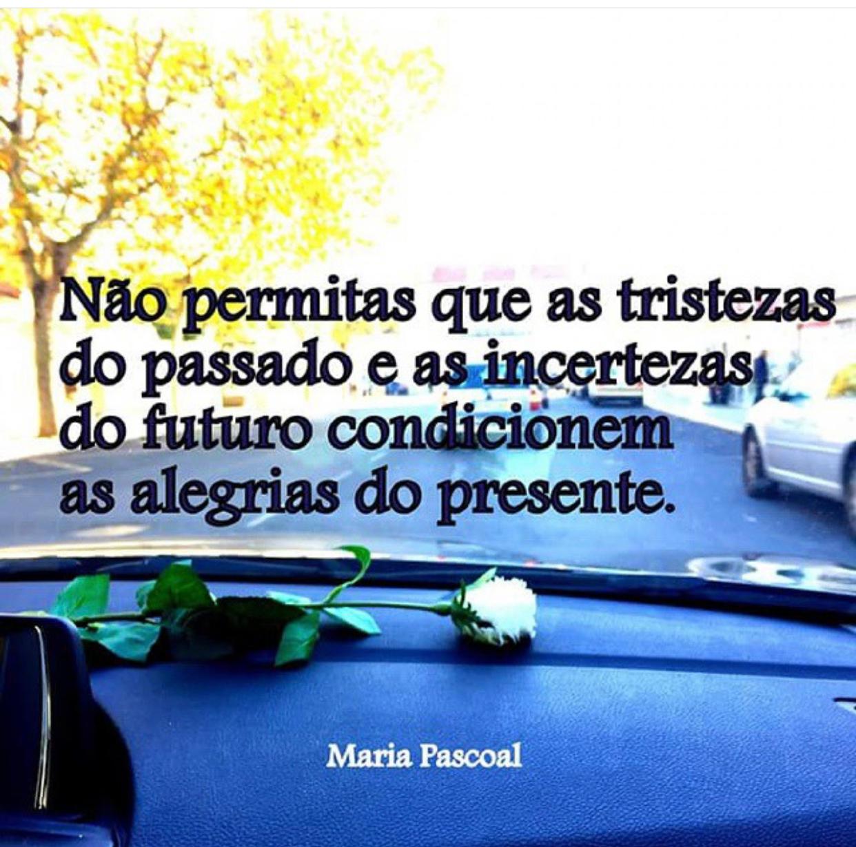 Fotos - Centro Maria Pascoal - Psicologia Clínica - Psicoterapia - 7