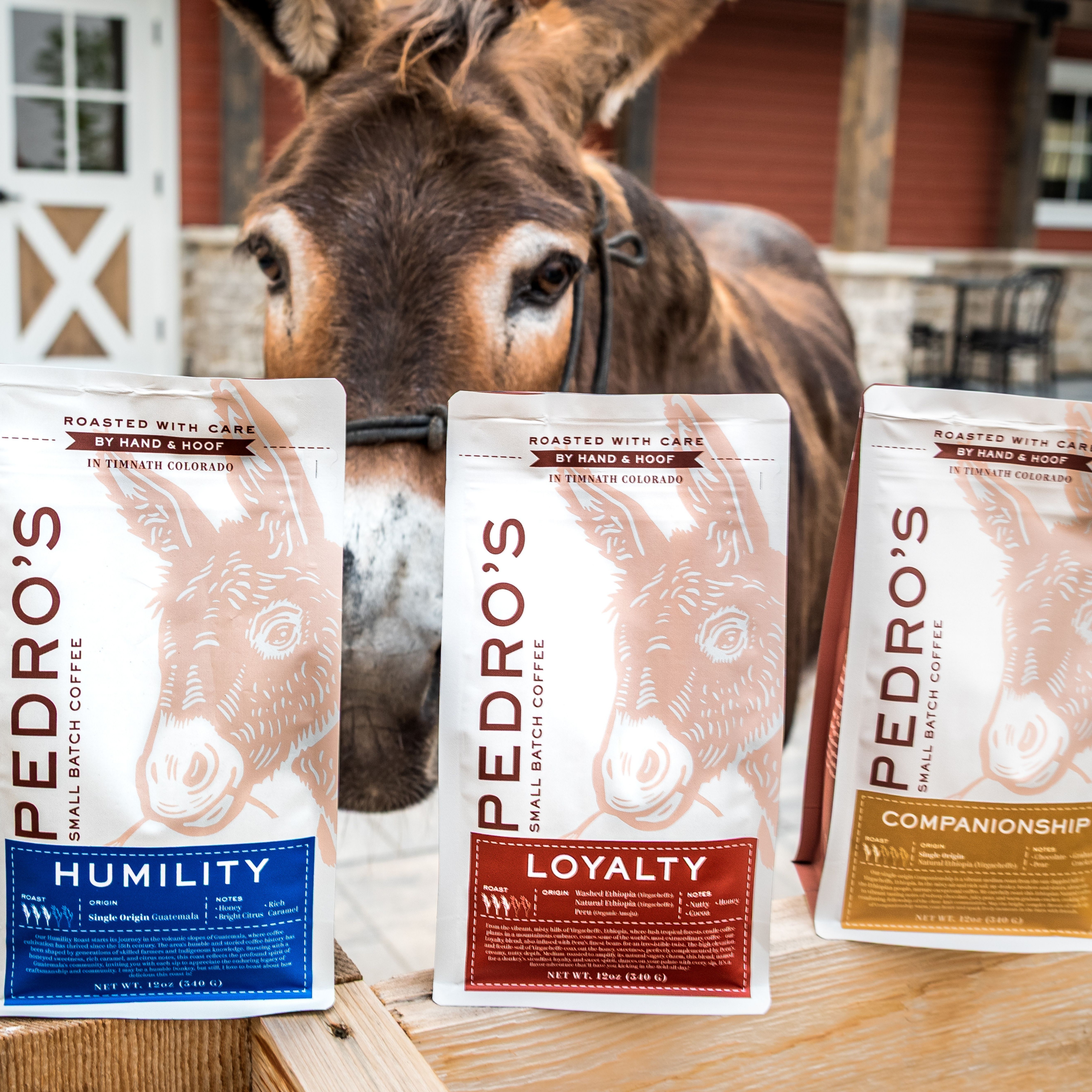 Pedro's Coffee Shop Image