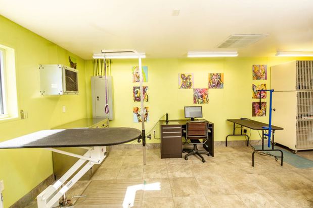Images VCA Becker Animal Hospital and Pet Resort