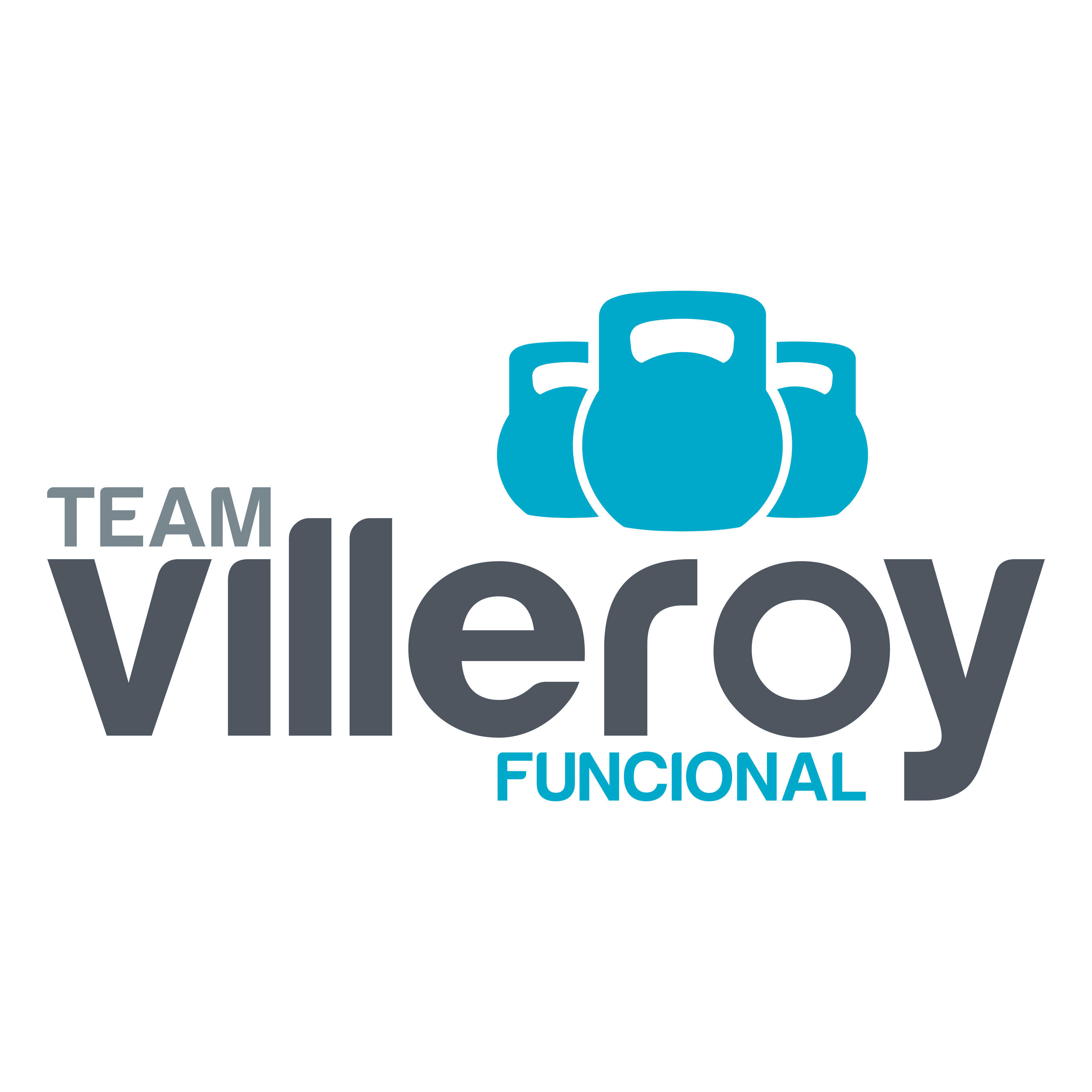 Team Villeroy - Centro De Entrenamiento Funcional Logo