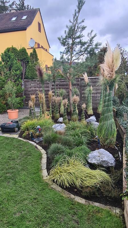 Bilder BRÜHWILER-GARTENBAU, BAUMPFLEGE