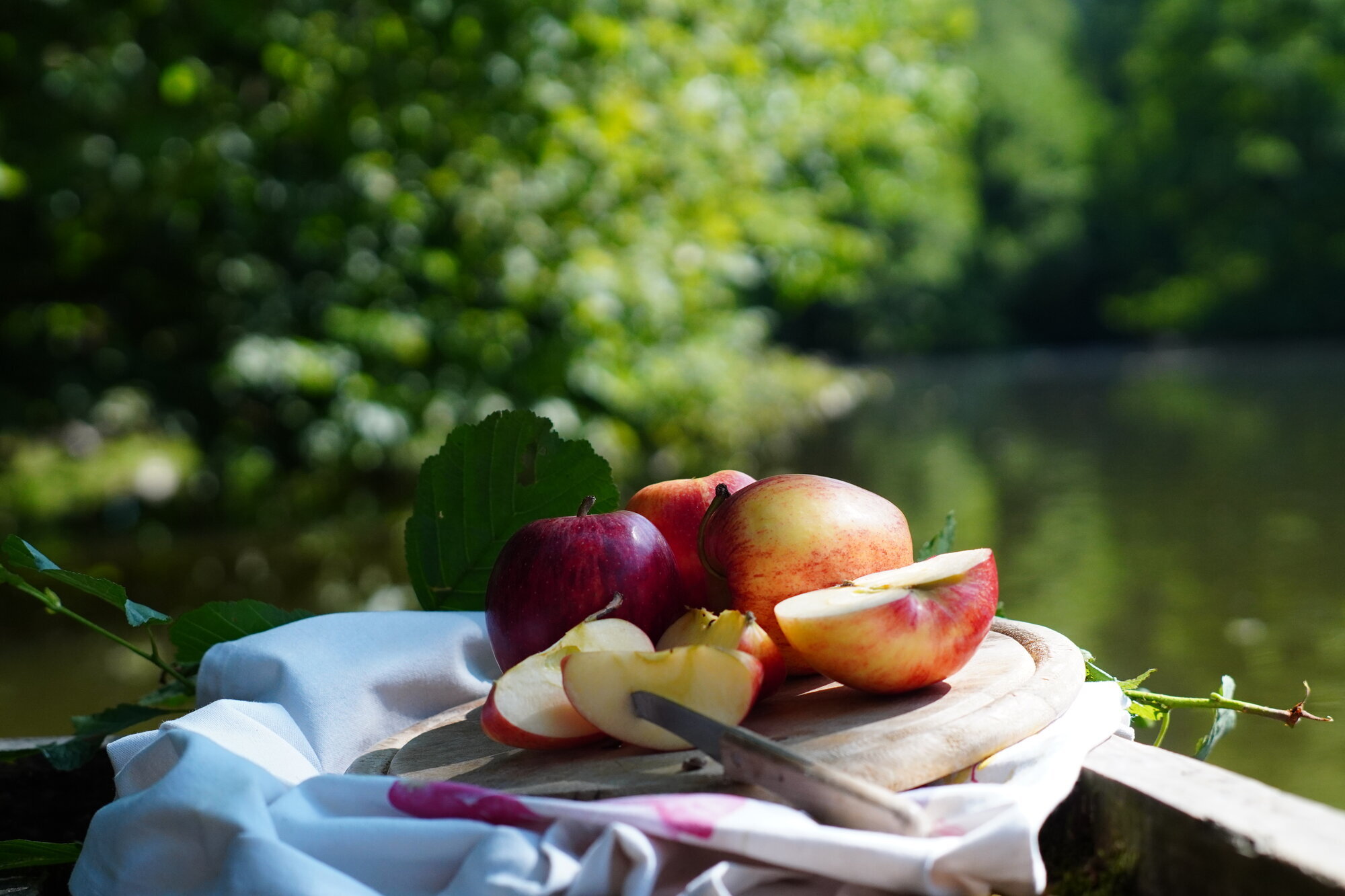 Fasten & Balance - Larissa Hoffmann, Strüthbachweg 1 in Heidenrod