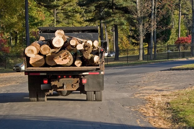 Images Top Notch Tree Services Inc