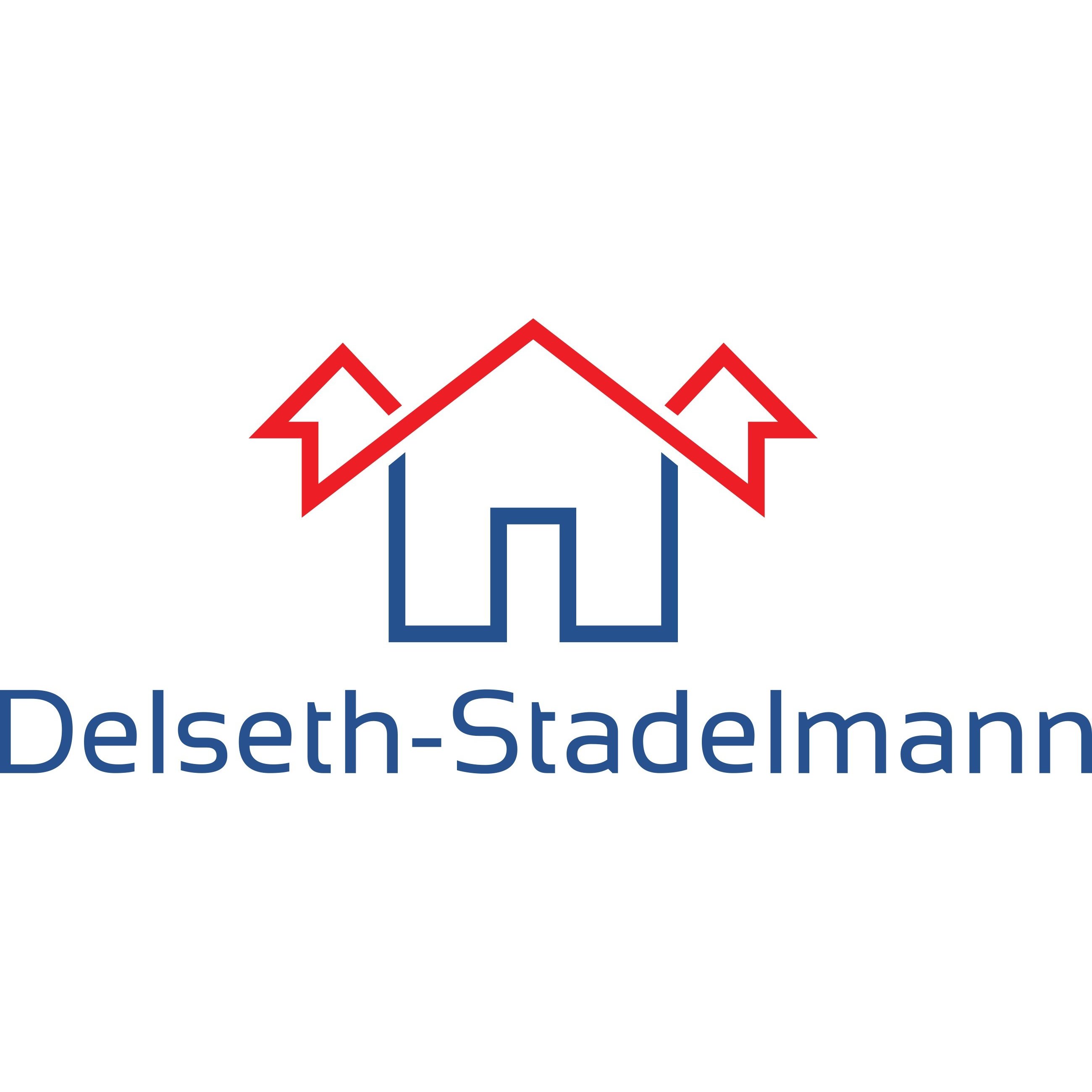 Delseth-Stadelmann Construction Sàrl Logo