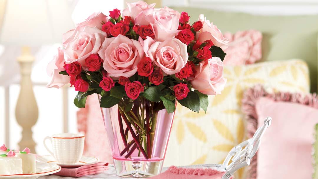 Doral Roses Photo