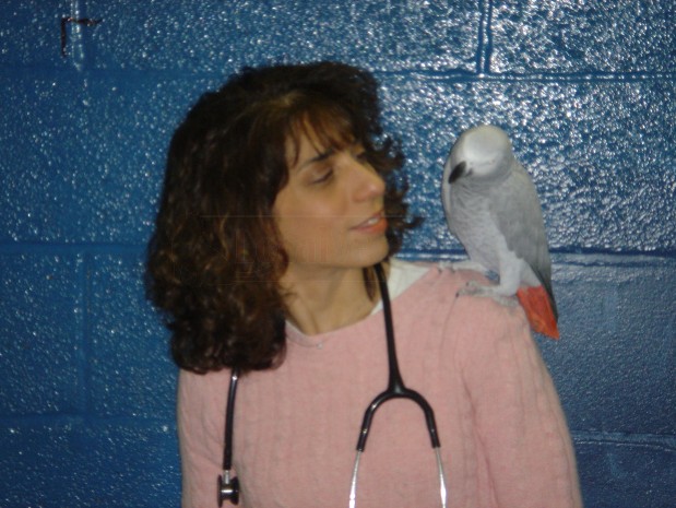 Veterinary Center For Birds & Exotics Coupons near me in