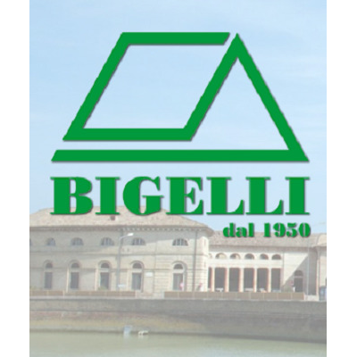 Agenzia Immobiliare Bigelli Logo